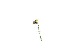 idk why i did this