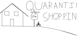 Quarantine Shopping