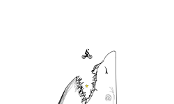 eaten by a shark