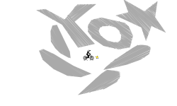 * * * *