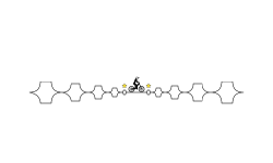 go speedy