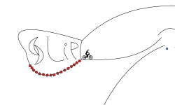 Slip