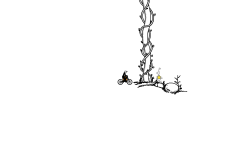 Vines