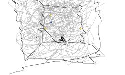 ITs _A_ MESS