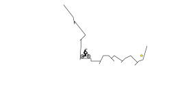Ghost This (DESC)