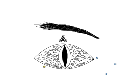 the eye