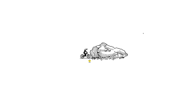 Boulder
