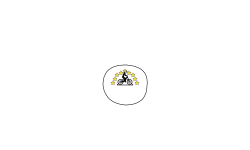 Unicycle