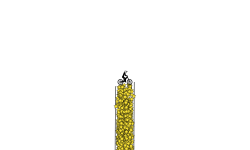 2000 stars