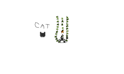 woa a kitteh