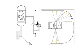 COLLECTING DNA