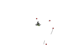 5 second auto