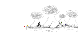 Forest Camp