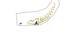 BANANANANANANANA