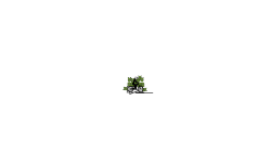 long auto