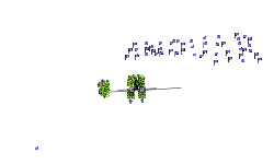 4you