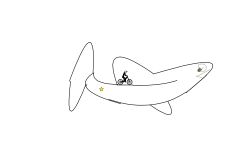 shark