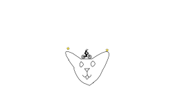 🐱 cat 🐱