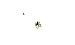 half auto