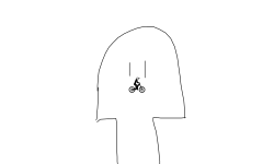 Which leg