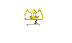 gold crown 2