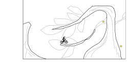In The Garden (Picture)