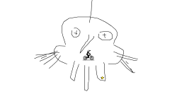 boodekr