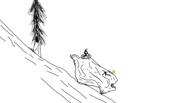 The Wilderness