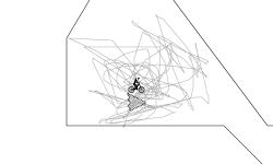 La polognette de votre jeu N'2