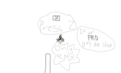 Pro BMX