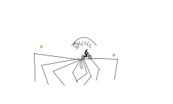 spider body