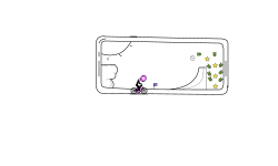 Smartphone (late) CODE IN DESC