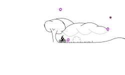 trail 11#
