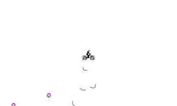 Portal Auto
