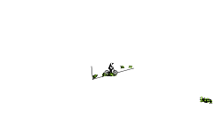Very Short Auto