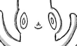 octo-no