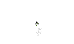 Wheelie