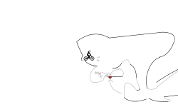 Enname (Desc)