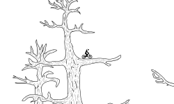 tree track