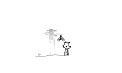 calvin & hobbes