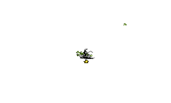 Small auto