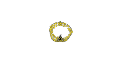 The 100 star circle