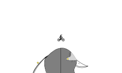 Tufted Duck's head