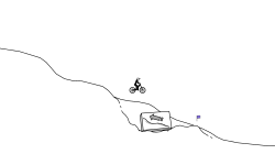 race to the flags