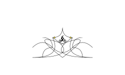 What does this look like
