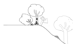 enucreek