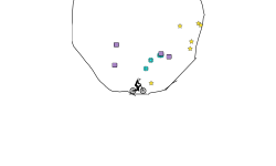 the circle