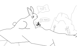 Path of the Hare