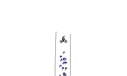 Death Or WIn