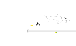 Shark